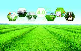 Ứng dụng công nghệ thông tin để điều tra nông nghiệp, nông thôn giữa kỳ năm 2020