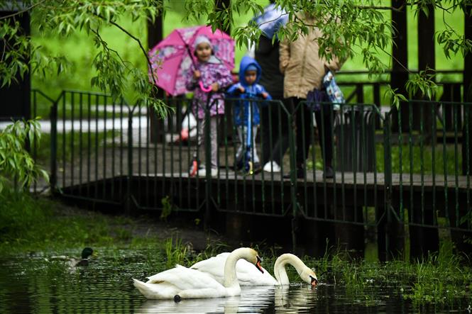 Người dân đi dạo trong một công viên ở ngoại ô Moskva, Nga ngày 31/5/2020. Ảnh: AFP/TTXVN
