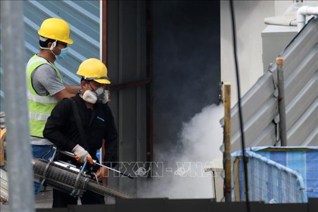 Spraying chemical to kill mosquitoes in Singapore on April 17, 2020 (Photo: APF/VNA)