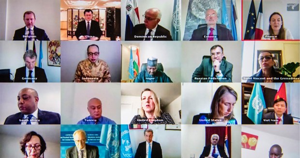 Security Council members hold an open video conference in connection with the International Residual Mechanism for Criminal Tribunals. (Source: UN Photo/Eskinder Debebe )