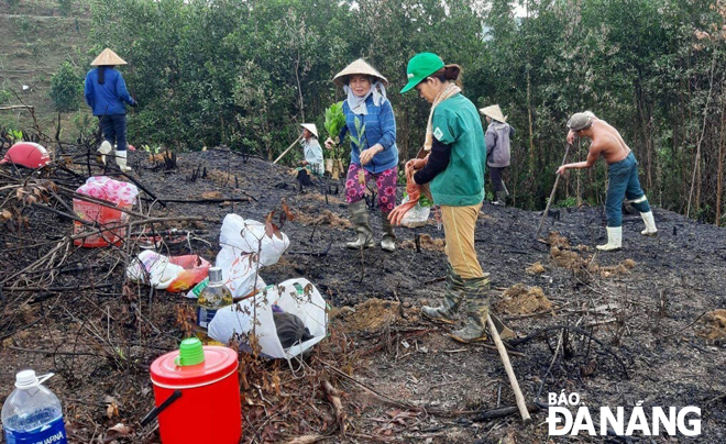 Đông đảo phụ nữ thôn Đông Sơn trồng cây keo lá tràm để gây quỹ giúp đỡ người nghèo. Ảnh: PHƯƠNG TẤN