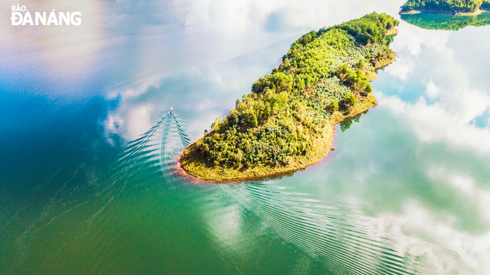 Người dân trồng cây keo trên các đảo nhỏ ở trong lòng hồ.