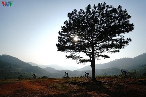 Dalat Ultra Trail 2020 is the largest sport event to be held after a long hiatus due to COVID-19 in the mesmerising highlands of Da Lat surrounded by immense pine forests, breathtaking mountains, poetic lakes and waterfalls. (Photo: VOV)