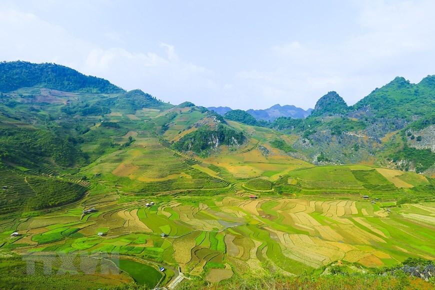 Những thửa ruộng bậc thang níu chân du khách. (Ảnh: Phan Tuấn Anh/TTXVN)