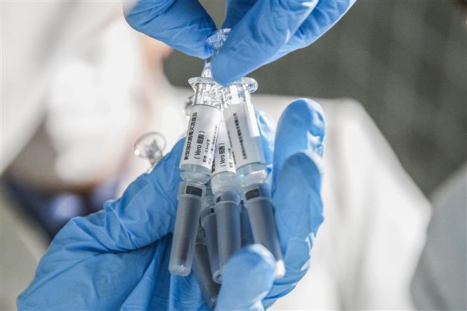  Nhân viên giới thiệu mẫu vaccine phòng COVID-19 được nghiên cứu tại một công ty công nghệ sinh học ở Bắc Kinh, Trung Quốc ngày 16/3/2020. Ảnh: THX/TTXVN