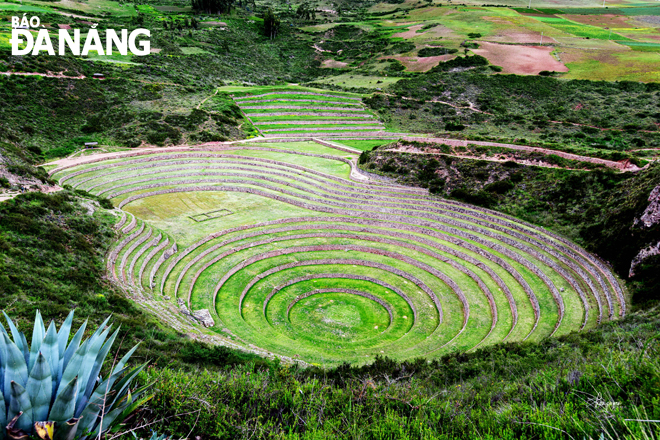 Ruộng bậc thang ở vùng núi các nước trồng lúa nước thì rất nhiều, nhưng kiểu ruộng bậc thang theo vòng tròn đồng tâm chỉ có ở làng Moray, cách Cusco khoảng 50km.