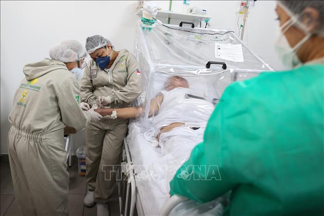 Nhân viên y tế điều trị cho bệnh nhân mắc COVID-19 tại một bệnh viện ở Manaus, Brazil ngày 8/6. Ảnh: AFP/TTXVN