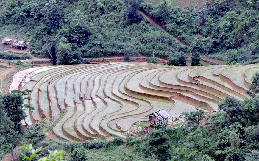 Ruộng bậc thang tại xã Chiềng Muôn, huyện Mường La, tỉnh Sơn La. (Ảnh: Quang Quyết/TTXVN)