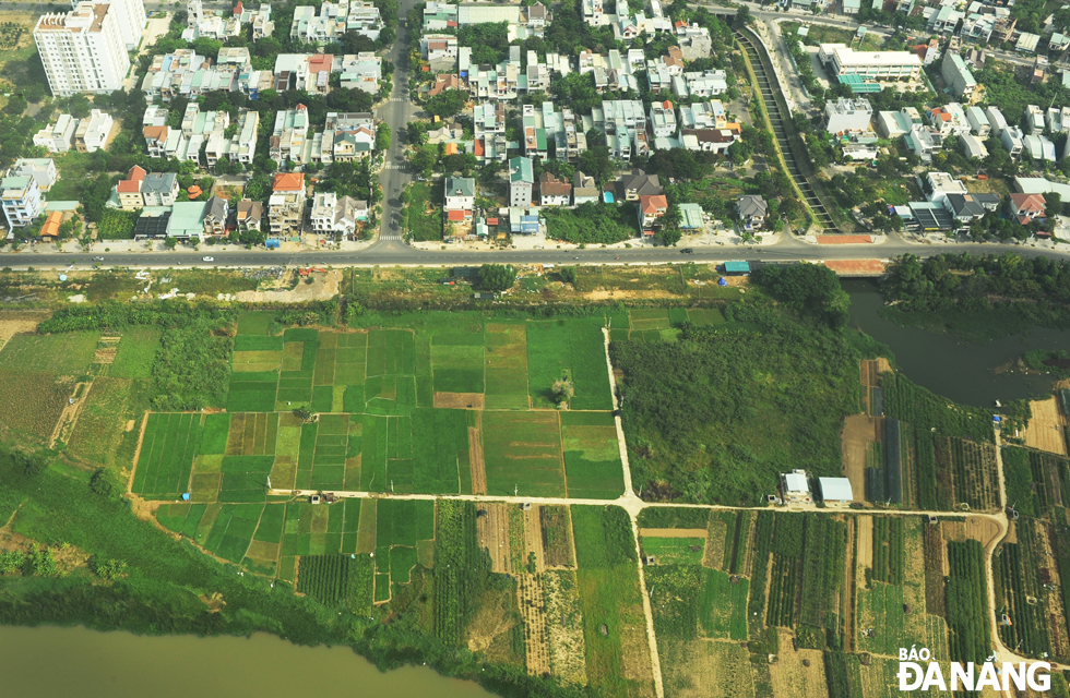 Vùng rau La Hường nhìn từ trên cao như tấm vải lụa mềm vắt qua khu đô thị bên dòng sông Cẩm Lệ.