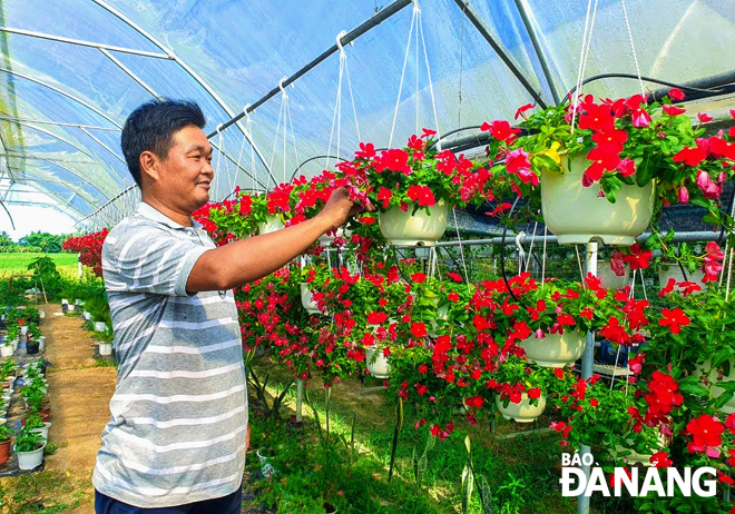 Mô hình trồng hoa ứng dụng công nghệ cao của anh Phạm Văn Hùng (SN 1976) tại vùng hoa Gò Giảng, xã Hòa Phong. Ảnh: MAI HIỀN