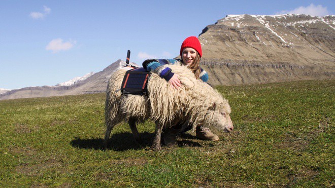 Trong số các đảo chính của Faroe, Lítla Dímun là đảo duy nhất không có người sinh sống. Suốt nhiều thế kỷ, các nông dân đến đây để chăm sóc những con cừu được nuôi thả dự do trên đảo. Ảnh: CNN.