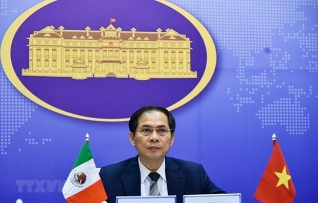 Deputy Minister of Foreign Affairs Bui Thanh Son (Photo: VNA)