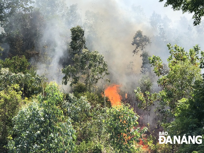 Smoke could be seen rising above the forest from early Saturday afternoon 