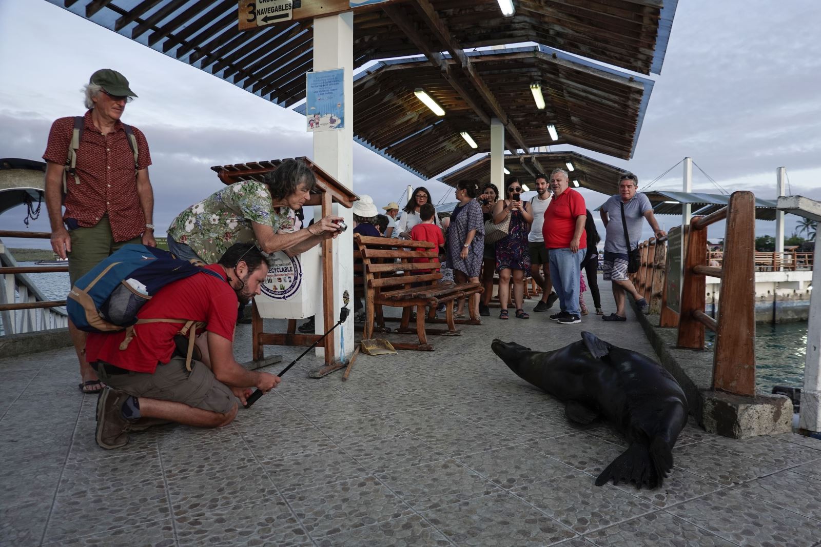 Khách du lịch tại Puerto Ayora trên đảo Santa Cruz, quần đảo Galapagos, cách bờ biển Ecuador 1000km. Ảnh: AFP/ TTXVN