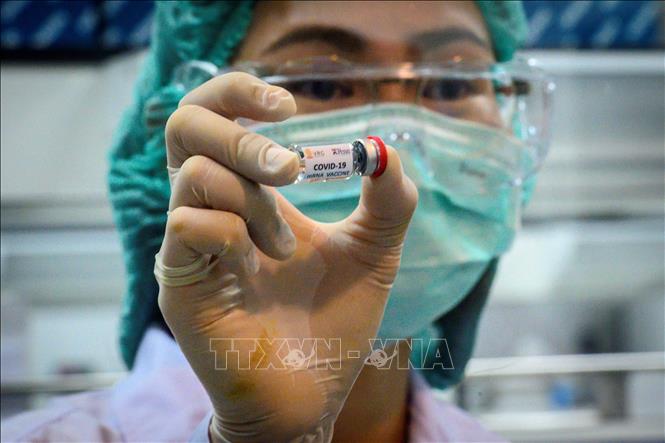 Vaccine phòng COVID-19 được phát triển tại Đại học Chulalongkorn ở Saraburi, Thái Lan ngày 23/5. Ảnh: AFP/TTXVN
