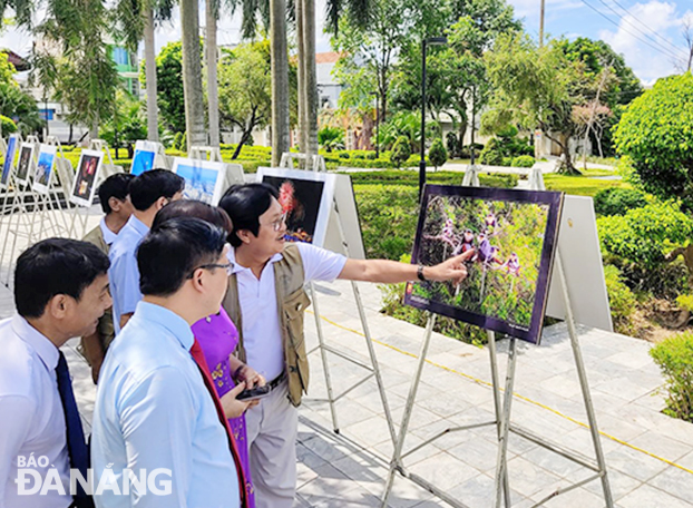 Những tác phẩm ảnh nghệ thuật về thiên nhiên, con người Đà Nẵng được trưng bày tại triển lãm đã thu hút đông đảo người dân và du khách đến xem. Ảnh: H.A