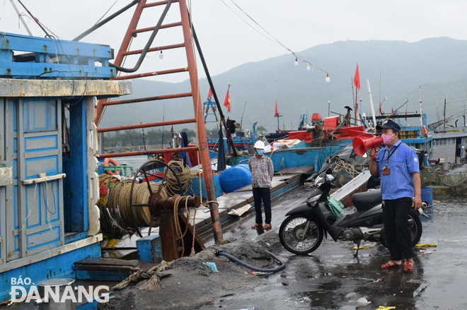 Tàu thuyền và sản lượng cá cập cảng Thọ Quang giảm, giá hải sản tăng