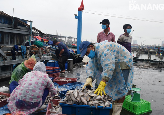 Người dân hoạt động trên cảng cá Thọ Quang đều mang khẩu trang và chú ý phòng dịch. Ảnh: HOÀNG HIỆP