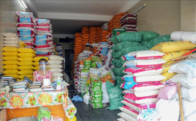 Một cửa hàng bán gạo trên đường Quang Trung (Đà Nẵng) luôn có sẵn lượng gạo lớn dự trữ để phục vụ người dân. Ảnh: Trần Lê Lâm/TTXVN