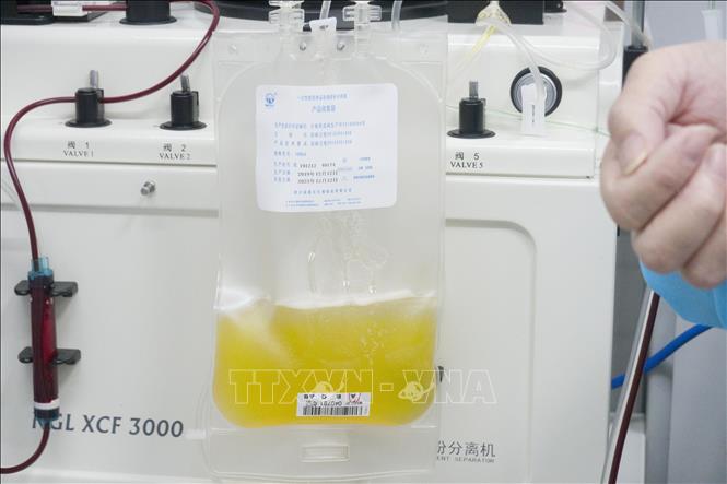 Huyết tương của bệnh nhân mắc COVID-19 đã được chữa khỏi, tại Vũ Hán, tỉnh Hồ Bắc, Trung Quốc, ngày 17/2/2020. Ảnh: THX/TTXVN