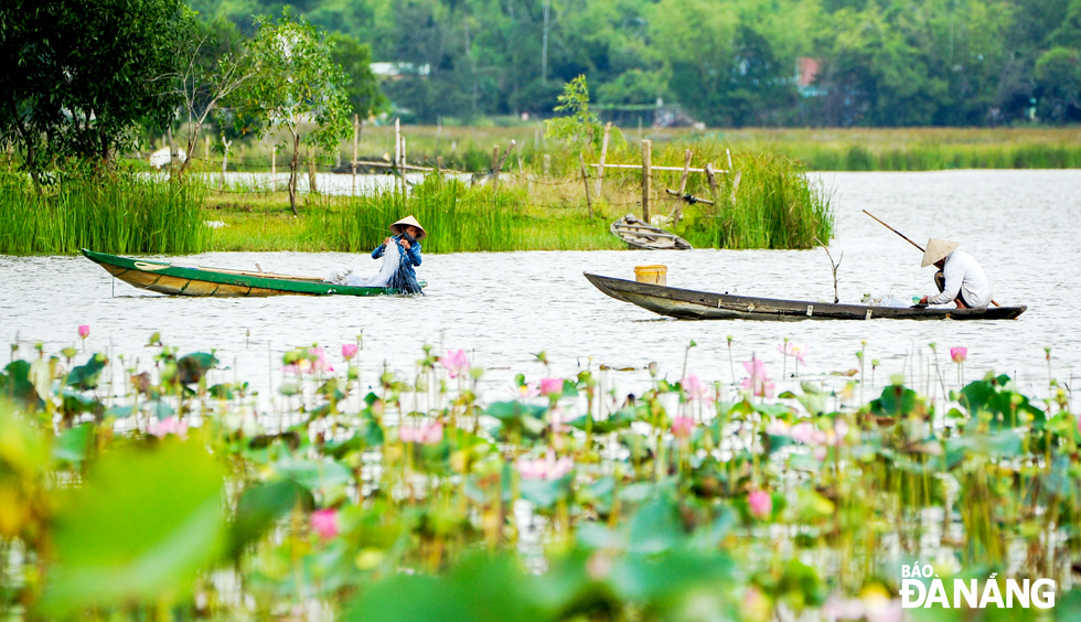 Người dân địa phương thả lưới, bắt cá trên Sông Đầm.