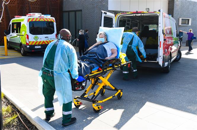 Nhân viên y tế chuyển bệnh nhân mắc COVID-19 lên xe cứu thương tại ngoại ô thành phố Melbourne, bang Victoria, Australia ngày 29/7/2020. Ảnh: AFP/TTXVN