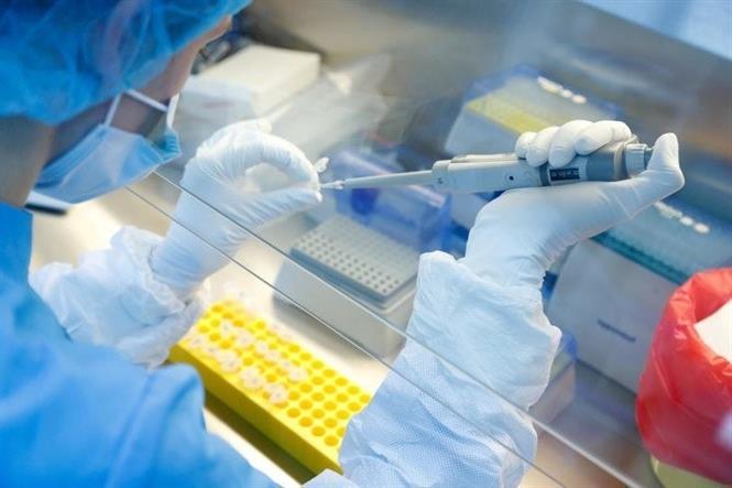 Nhà khoa học nghiên cứu vaccine phòng COVID-19 tại một công ty công nghệ sinh học ở Saint Petersburg, Nga ngày 11/6/2020. Ảnh: Reuters/TTXVN