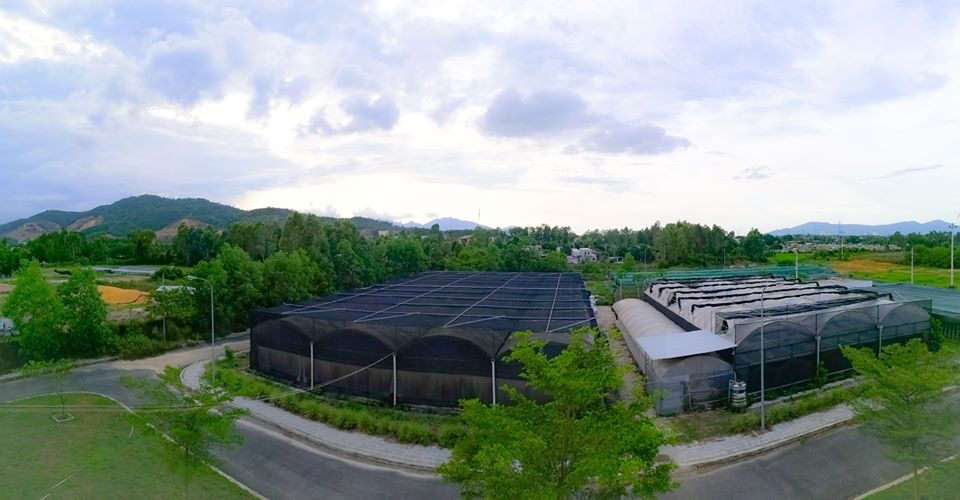 A scene of the hi-tech agricultural cultivation cluster at the existing municipal Biotechnological Centre