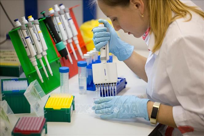 Nghiên cứu viên phát triển vaccine ngừa COVID-19 tại Trung tâm Nghiên cứu Dịch tễ học và Vi sinh học Quốc gia Gamaley ở Moskva, Nga. Ảnh: Yonhap/TTXVN