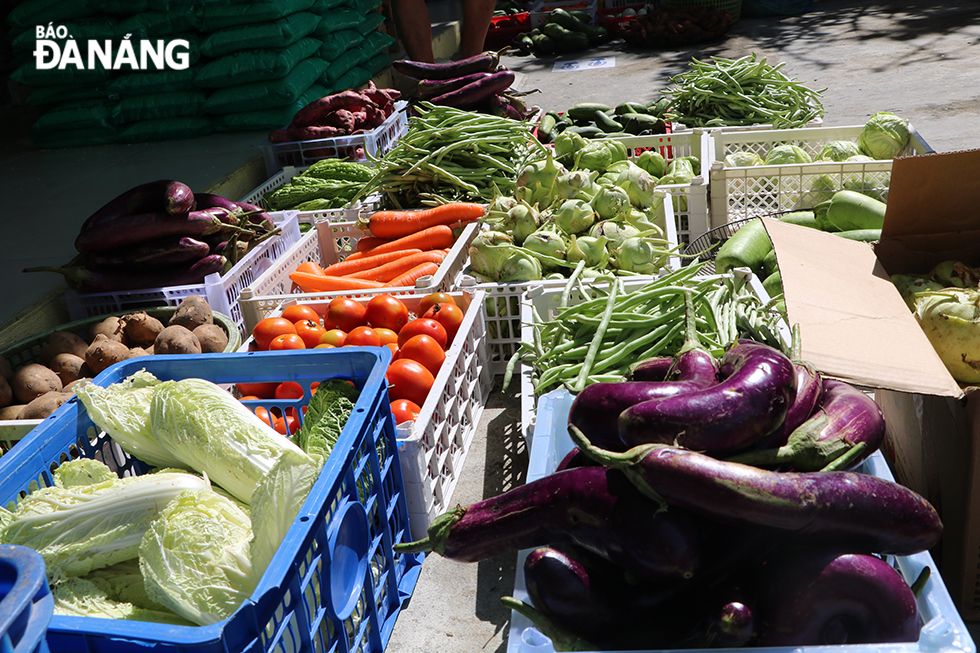 All fresh vegetables are bought daily at the Hoa Cuong Wholesale Market 