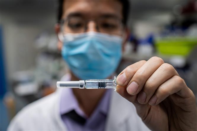  Vaccine phòng COVID-19 được phát triển bởi công ty công nghệ sinh học Sinovac ở Bắc Kinh, Trung Quốc. Ảnh: AFP/TTXVN