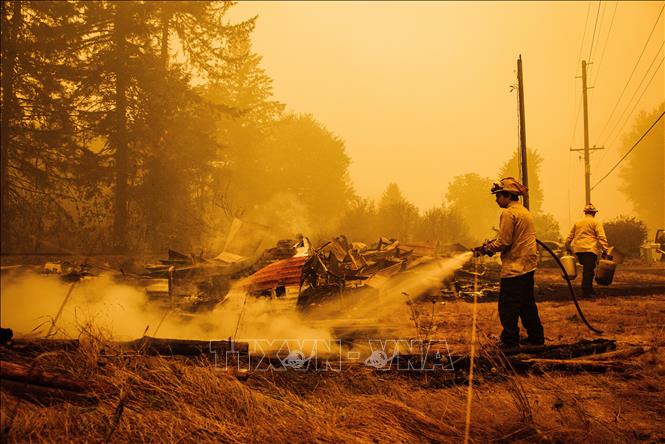 Cháy rừng tiếp tục lan rộng tại bang Oregon, Mỹ