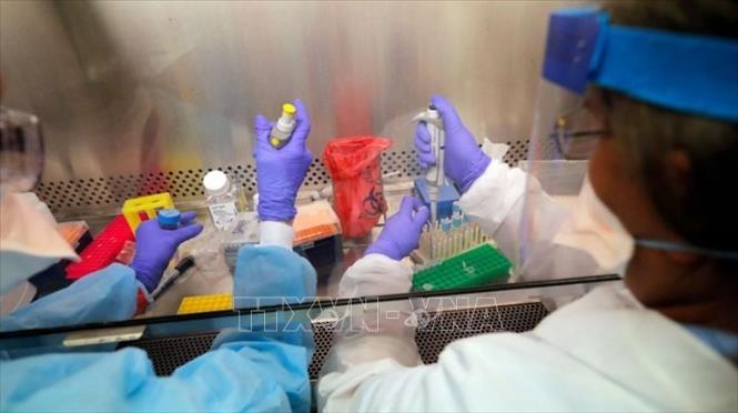  Chú thích ảnh Nghiên cứu bào chế vaccine phòng COVID-19 tại phòng thí nghiệm Trường đại học Queensland, Australia. Ảnh: AP/TTXVN