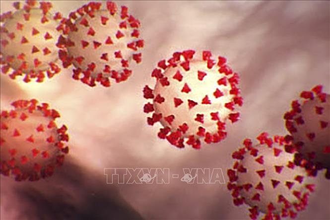 Các nhà khoa học Australia đã phát triển một công cụ mới giúp tháo gỡ vấn đề đột biến gene ở virus SARS-CoV-2. Ảnh: TTXVN