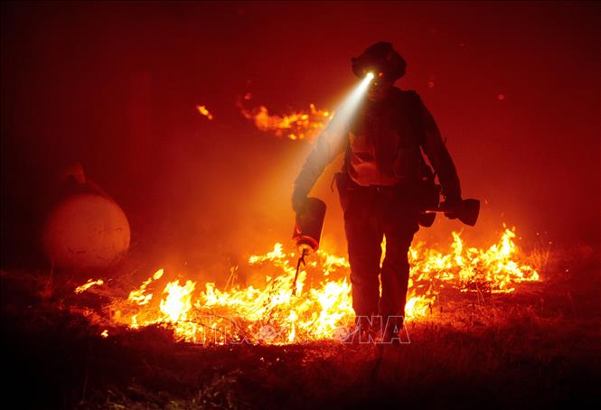  Chú thích ảnh Lính cứu hỏa tham gia dập lửa cháy rừng tại hạt Butte, California, Mỹ ngày 9/9. Ảnh: AFP/TTXVN