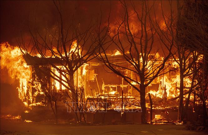  Chú thích ảnh Cháy rừng dữ dội thiêu hủy ngôi nhà ở Napa, California ngày 18/8. Ảnh: AFP/TTXVN