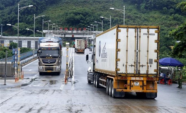 Containers transporting dragon fruit to China (Source: VNA)