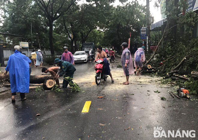 Lực lượng chức năng huyện Hòa Vang khắc phục cây xanh ngã đổ trên đường Quảng Xương. Ảnh: HOÀNG HIỆP