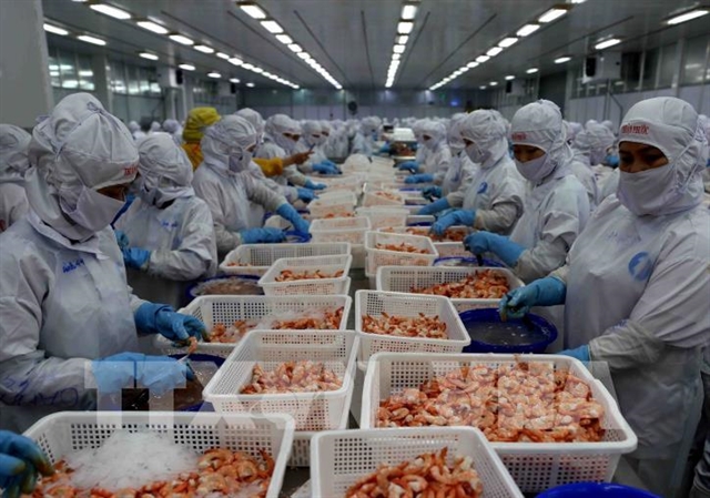 Workers at the Thuan Phuoc Seafoods and Trading Corporation in central Đà Nẵng City. Seafood is among Việt Nam's major exports to the EU