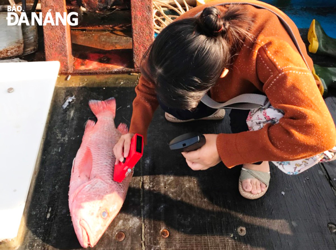 A staff member from the Da Nang Department of Agriculture and Rural Development introducing fishermen to ways how to keep their catch fresh