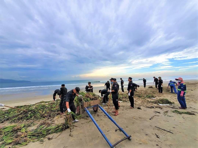 Các chiến sĩ trẻ của Tiểu đoàn Cảnh sát Cơ động Công an thành phố Đà Nẵng phối hợp với các tình nguyện viên tham gia thu gom rác thải tại khu vực biển Mỹ Khê sau bão số 5. Ảnh: X.Đ