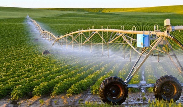 Technology application in agricultural production helps increase productivity. 