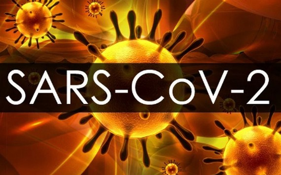 Thụy Sĩ: Nghiên cứu cơ chế virus SARS-CoV-2 gây cục máu đông