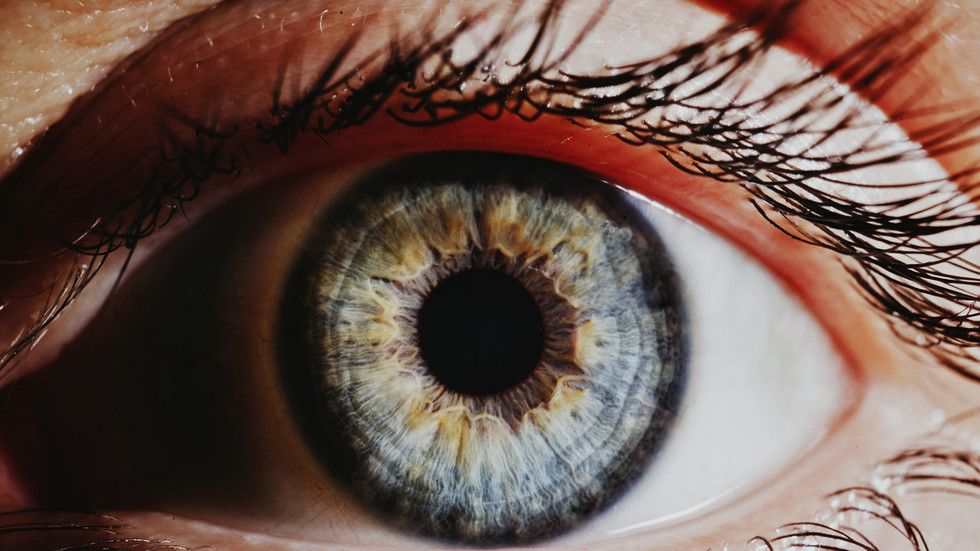Con người mang sẵn gen có thể giúp hồi phục mắt hỏng