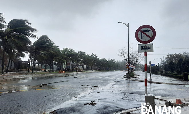 Đà Nẵng: Gió bão giật mạnh, nhiều cây xanh ngã đổ