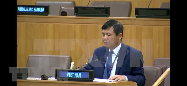 Ambassador Dang Dinh Quy, head of the Vietnamese Permanent Mission to the UN (Photo: VNA)