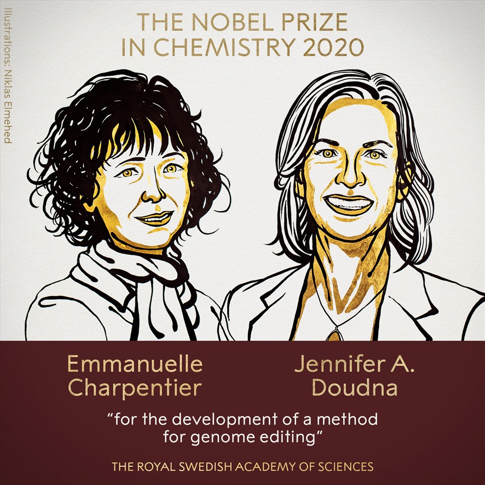 Nhà khoa học Pháp Emmanuelle Charpentier và Jennifer Doudna của Mỹ nhận giải Nobel Hóa học 2020. Ảnh: Nobel Prize.
