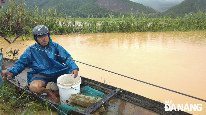 Ông Nguyễn Bắc Phương, người nuôi tôm ở thôn Trường Định cho biết, do mưa lớn mà 5 tạ tôm trên hồ nuôi của ông đã bị thiệt hại. Ảnh: XUÂN SƠN