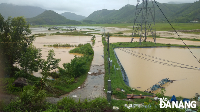  Many shrimp ponds in Truong Dinh Village, Hoa Lien Commune submerged in floodwater
