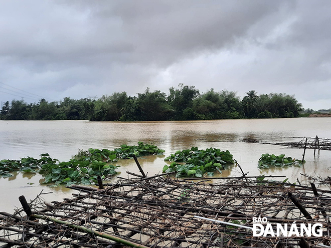 10/11 xã ở huyện Hòa Vang đã ngập lụt và lũ cũng lên nhanh làm ngập một vùng rộng lớn ven sông thuộc phường Hòa Thọ Tây, quận Cẩm Lệ. Ảnh: TRIỆU TÙNG